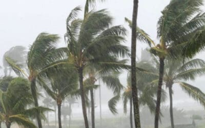 How Are Addicts Handling Hurricane Harvey?