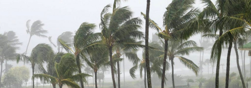 Hurricane Harvey