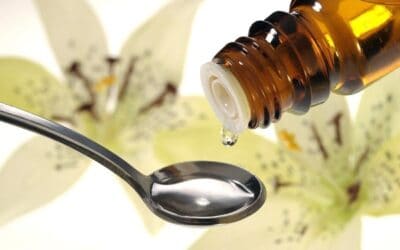 Do Homeopathic Remedies Contain Alcohol?