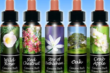 Top Bach Flower Picks For Addiction