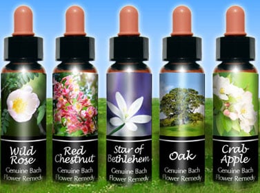 Top Bach Flower Picks For Addiction