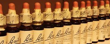 Bach Flower Remedies Changing Addiction Treatment