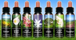 Bach Flower Remedies For Addiction, and More…